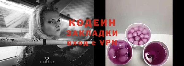 шишки Михайлов