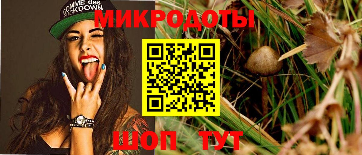 Галлюциногенные грибы Magic Shrooms  Вход с VPN  хочу   Кизляр 