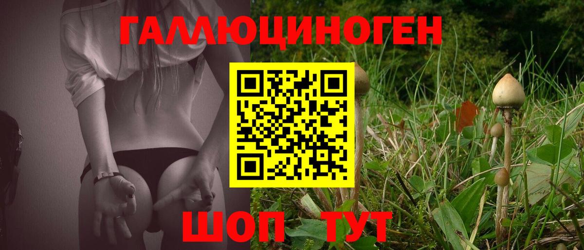 Псилоцибиновые грибы Magic Shrooms Кизляр