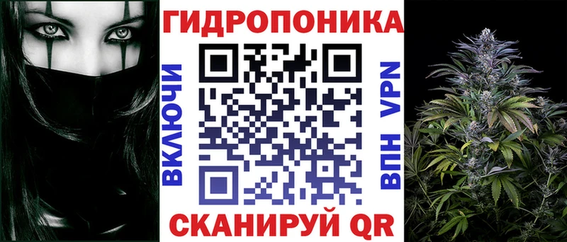 Шишки марихуана планчик  kraken ССЫЛКА  Кизляр 